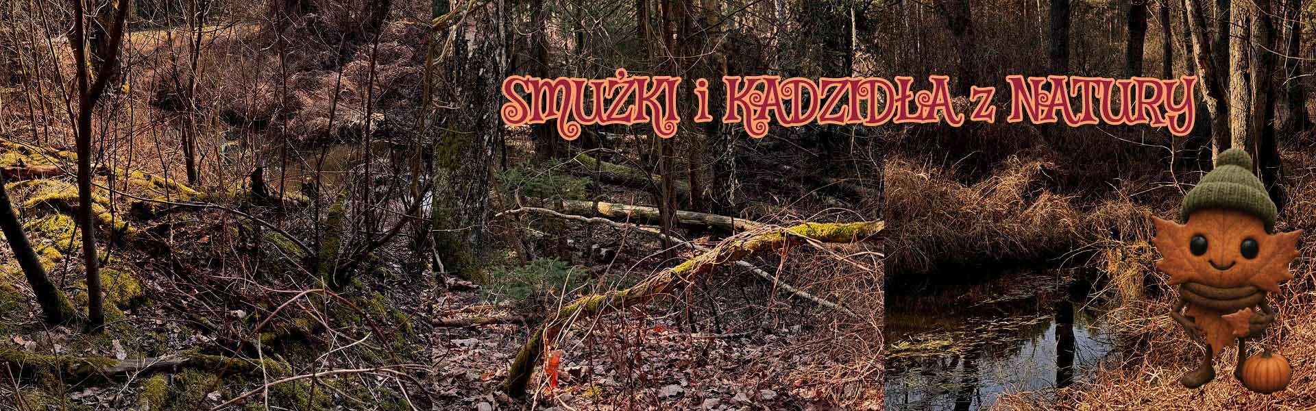 SMUŻKI i KADZIDLA z NATURY SMUŻKI i KADZIDLA z NATURY